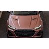 Extensions de Capot PD6RS 2 pièces pour Audi RS6 C8