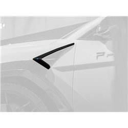 PD700 Side Frames for Front Fender Air Intakes for Lamborghini Urus
