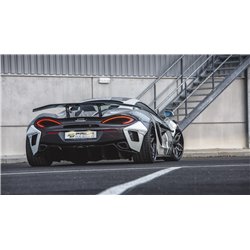 PD1 Diffuseur Arrière pour McLaren 570S