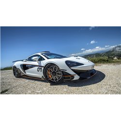 Prise d'Air de Toit PD1 pour McLaren 570S