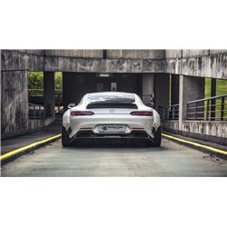 PD800GT Diffusor for Mercedes-AMG GT/GTS 2014-2017