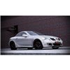 Maxton - LAME DE PARE-CHOCS AVANT MERCEDES SLK R171 STANDARD PARE-CHOCS 
