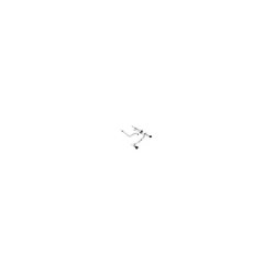 Maxton - Wydech Miltek Sport Ford Fiesta mk8 Noir Tips