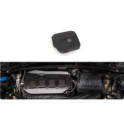 Maxton - Carbon Fiber Engine Cover BMW 1 F40 M135i