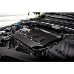 Maxton - Couvre-Moteur Fibre de Carbone BMW 1 F40 M135i 