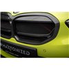 Maxton - Fibre de Carbone Avant Grill BMW 1 M-Pack/ M135i / 128ti F40 