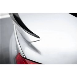 Maxton - Becquet Opel Insignia OPC-Line Mk1 