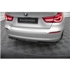 Maxton - Arriere Lame (avec une barre verticale) BMW 3 GT F34 Facelift 