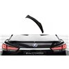 Maxton - Plus Bas Spoiler Cap 3D Lexus RX F-Sport Mk4 Facelift