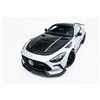 Maxton - Prepreg Carbon Fiber Bodykit Mercedes-AMG GT 63 / 55 / 63 S E Performance C192
