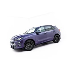 Maxton - Ensemble Diffuseur V.1 Cupra Terramar Mk1
