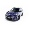 Maxton - Ensemble Diffuseur V.1 Cupra Terramar Mk1