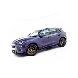 Maxton - Rajouts Des Bas De Caisse Cupra Terramar Mk1 
