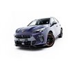Maxton - Ensemble Diffuseur V.2 Cupra Terramar Mk1