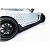Maxton - Prepreg Fibre de Carbone Jupes Latérales Mercedes-AMG GT 63 / 55 / 63 S E Performance C192