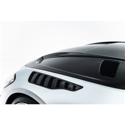 Maxton - Capot Fibre de Carbone Prepreg Mercedes-AMG GT 63 / 55 / 63 S E Performance C192
