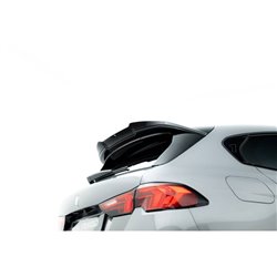 Maxton - Prepreg Fibre de Carbone Becquet de hayon BMW M135i / M-Pack F70