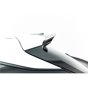 Maxton - Plus Haut Becquet 3D Lexus RX F-Sport Mk4 Facelift