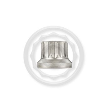 M11 Cyl.Head Stud Ensemble pour Audi RS3 8P TTRS 8J CEPA