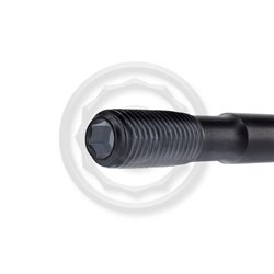 M11 Cyl. HeadStud Ensemble pour Audi RS3 8V TTRS 8S DAZA