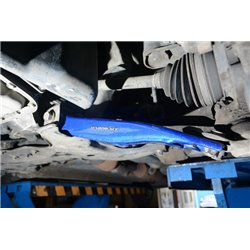 Auris