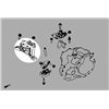 Support moteur côté droit Ford Focus