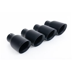 Catback Milltek SSXCH002