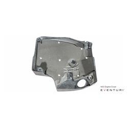Cache moteur carbone Eventuri Bmw M2 N55