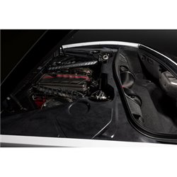 Cache moteur Eventuri Carbone Chevrolet Corvette C8 V8 2021+