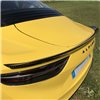Becquet carbone Alpine Cup / GT4 / RGT