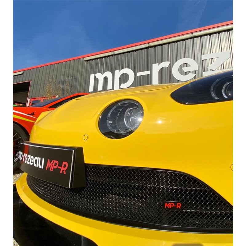 Grille Radiateur