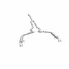 MagnaFlow 2015-2023 Ford Mustang Série Compétition Cat-Back Système d'Échappement Performance