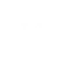 X4